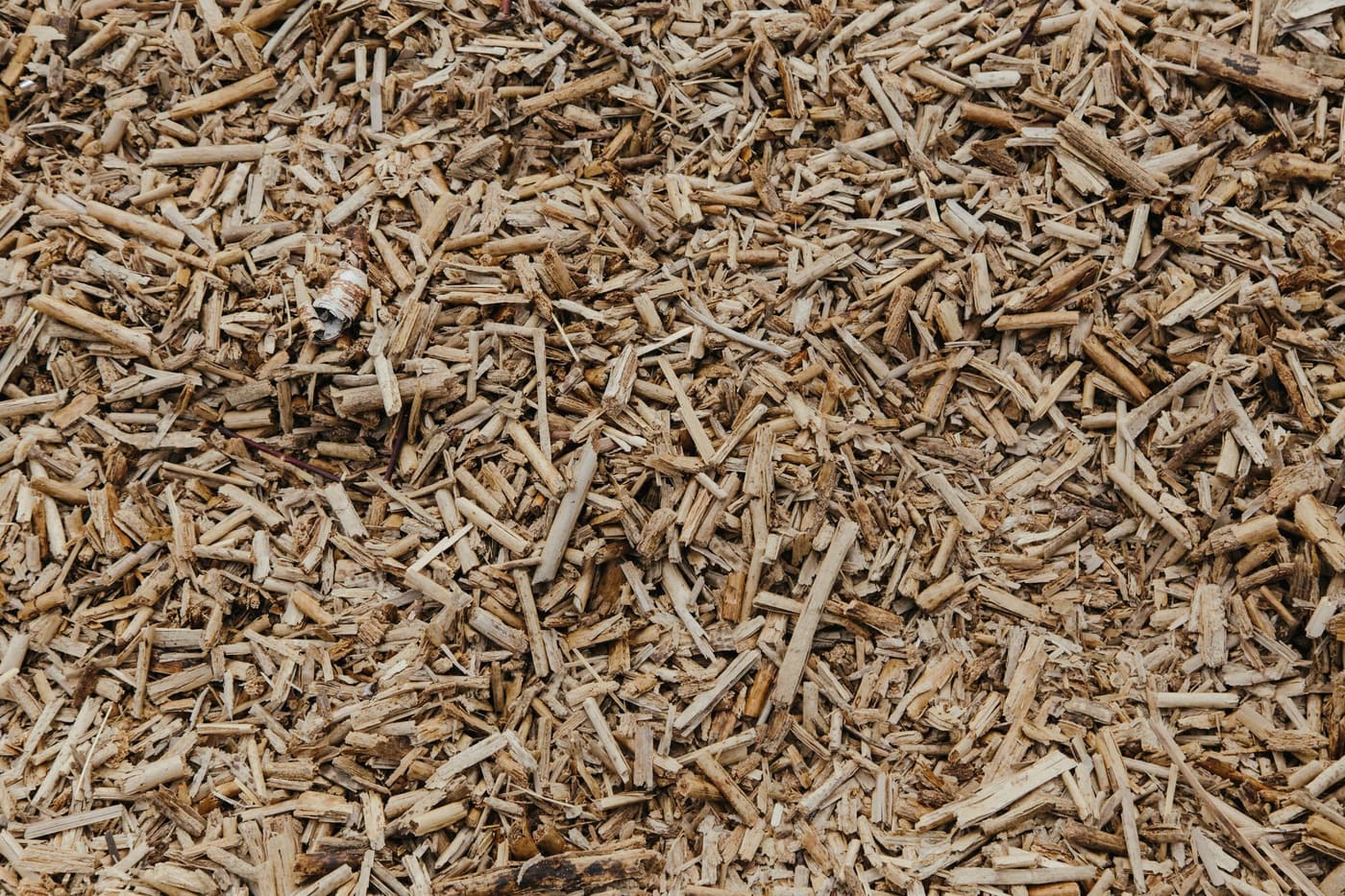 BRF (bois raméal fragmenté) : ce qu'il apporte au sol