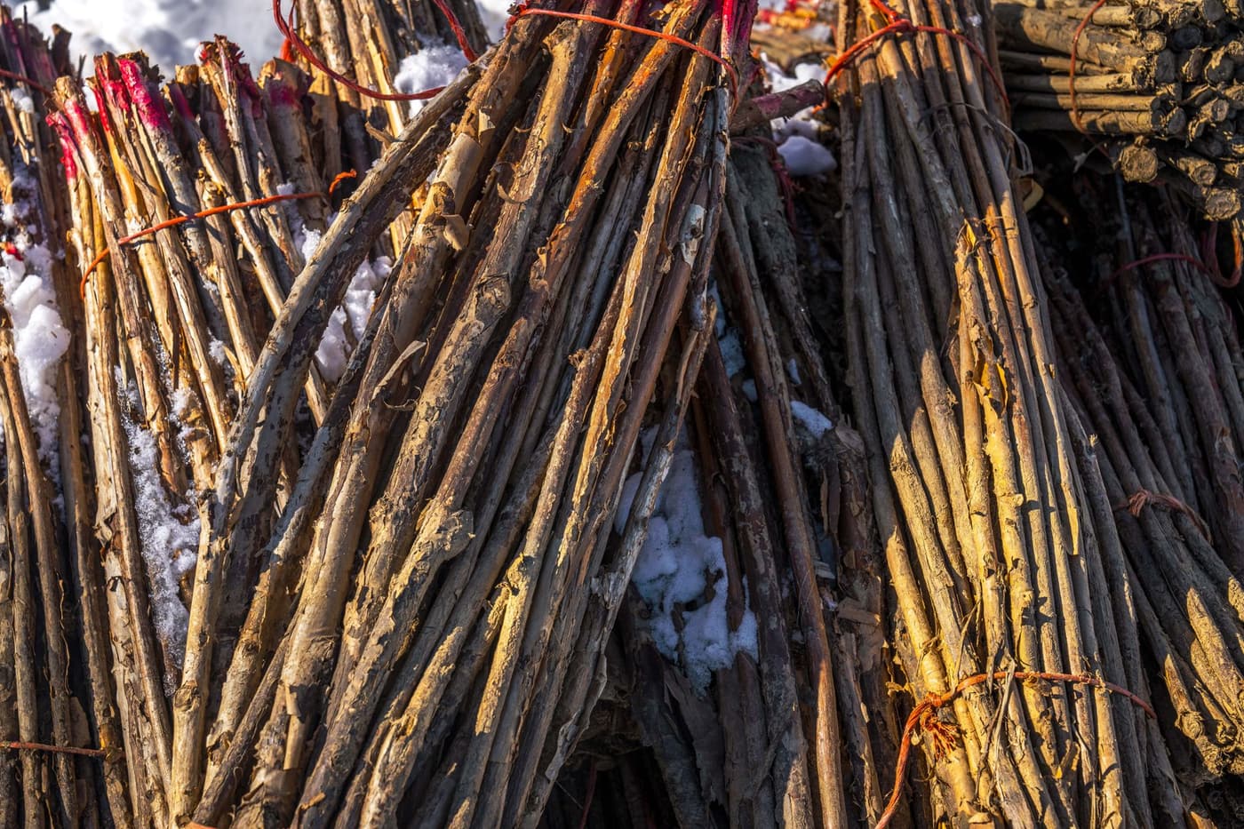 Paillage arbres fruitiers hiver : quel choix ?
