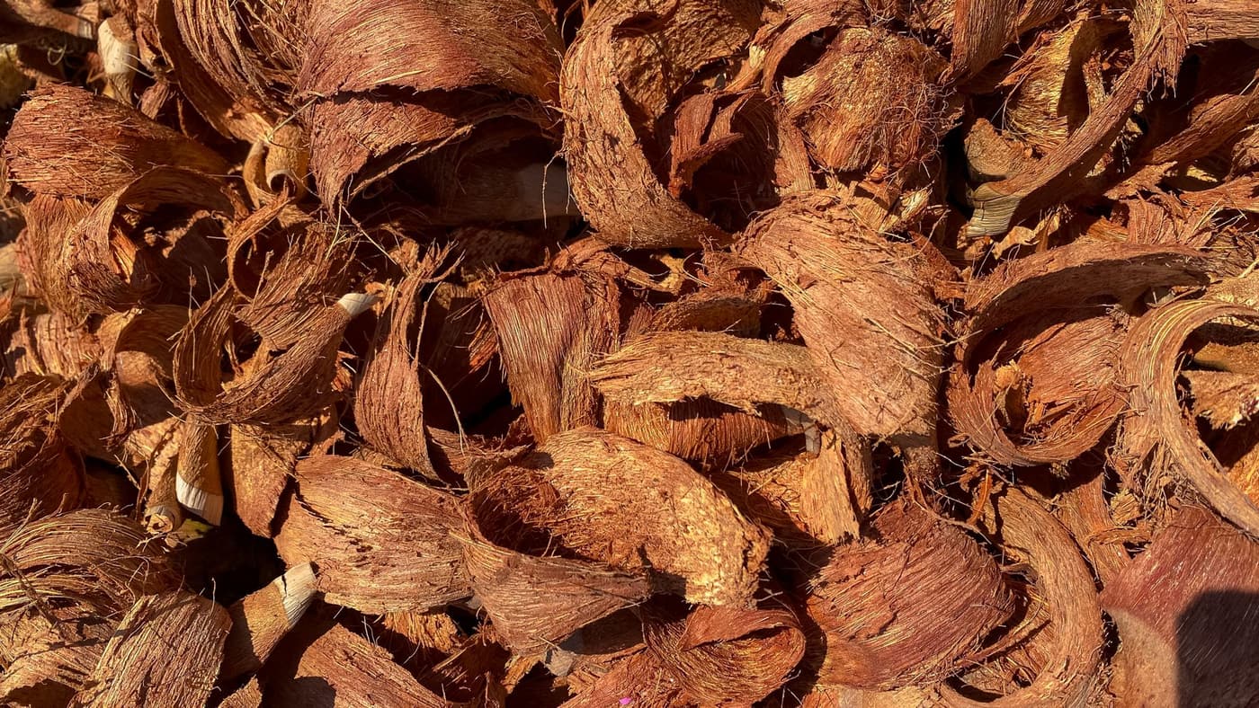 Paillage carton au potager : guide et comparatif
