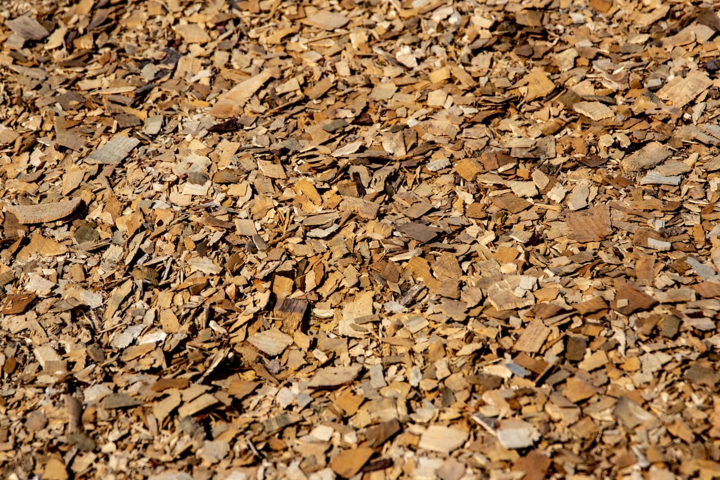 Écorces ou copeaux de bois : quel paillis choisir